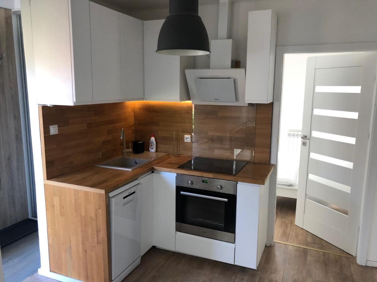 Apartman V Centre Michaloviec Михайлівці Екстер'єр фото