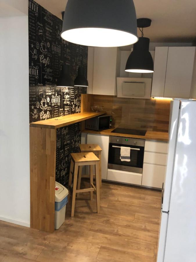 Apartman V Centre Michaloviec Михайлівці Екстер'єр фото